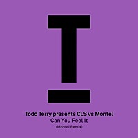 Thumbnail for the Todd Terry - Can You Feel It (Montel Radio Edit) link, provided by host site