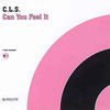 Thumbnail for the CLS - Can You Feel It (Remixes) link, provided by host site
