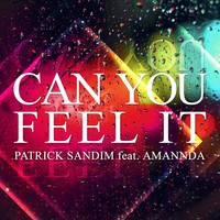 Thumbnail for the Patrick Sandim - Can You Feel It (Remixes) link, provided by host site