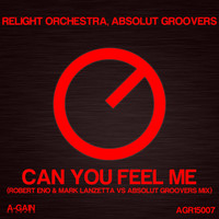 Thumbnail for the Relight Orchestra - Can You Feel Me? link, provided by host site