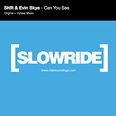 Thumbnail for the SNR - Can You See link, provided by host site