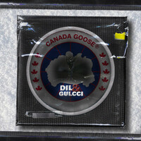 Thumbnail for the Dil - Canada Goose link, provided by host site