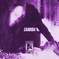 Thumbnail for the DaVinci Code - Candida "Slowed" link, provided by host site