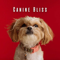 Thumbnail for the Soft Piano Music - Canine Bliss: Relaxing Piano for a Harmonious Doggie Day link, provided by host site