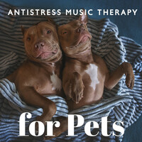 Image of Pets Music linking to their artist page due to link from them being at the top of the main table on this page
