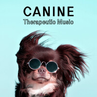 Thumbnail for the New Age - Canine Therapeutic Music – Deeply Relaxing, Calming and Healing Tunes for Your Dog link, provided by host site