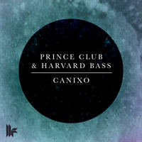 Image of Prince Club linking to their artist page due to link from them being at the top of the main table on this page