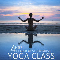 Thumbnail for the Yoga - Canon in D link, provided by host site