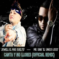 Thumbnail for the Mr. Saik - Canta Y No Llores (Official Remix) link, provided by host site