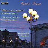 Thumbnail for the Karl-Heinz Halder - Cantabile No. 20. Un dialogo nella notte link, provided by host site
