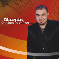 Thumbnail for the Narcis - Cantam la Valoare link, provided by host site