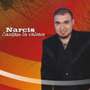 Image of Narcis linking to their artist page due to link from them being at the top of the main table on this page