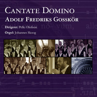 Thumbnail for the Pelle Olofson - Cantate Domino link, provided by host site