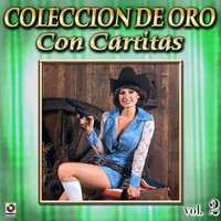 Thumbnail for the Banda Sinaloense Los Recoditos - Canto Para Ti link, provided by host site