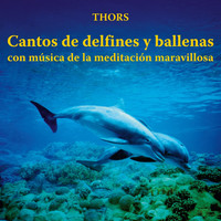 Thumbnail for the Thors - Cantos de Delfines y Ballenas Con Música de la Meditación Maravillosa link, provided by host site
