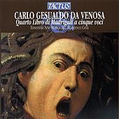 Thumbnail for the Francesco Cera - Canzon francese link, provided by host site