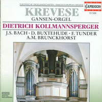 Thumbnail for the Franz Tunder - Canzona in G Major link, provided by host site
