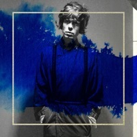 Thumbnail for the Fionn Regan - Cape of Diamonds (Tom Elmhirst Mix) link, provided by host site