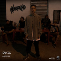 Thumbnail for the Mandrake - Capital link, provided by host site