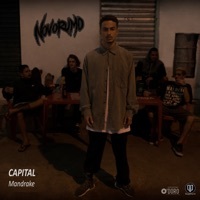 Thumbnail for the Mandrake - Capital link, provided by host site