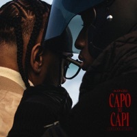 Thumbnail for the Alonzo - Capo Dei Capi Vol. II & III link, provided by host site