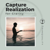 Thumbnail for the Meditation Relaxation Club - Capture Realization for Clarity link, provided by host site