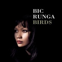 Thumbnail for the Bic Runga - Captured link, provided by host site