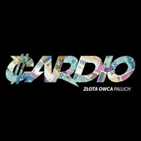 Thumbnail for the Paluch - Cardio link, provided by host site