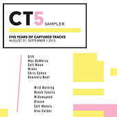 Thumbnail for the Beach Fossils - Careless link, provided by host site