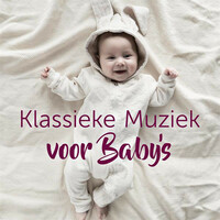 Thumbnail for the Georges Bizet - Carmen Suite No. 2: II. Habanera, Allegro quasi andantino link, provided by host site