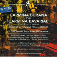 Thumbnail for the Konstantin Wecker - Carmina Bavariae: Das soll dann alles gewesen sein - Live link, provided by host site
