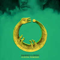 Thumbnail for the Chancha Via Circuito - Carnaval de las Flores (Remix) link, provided by host site