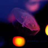 Thumbnail for the Robin Guthrie - Carousel link, provided by host site