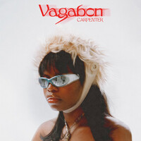 Thumbnail for the Vagabon - Carpenter link, provided by host site