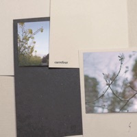 Image of phritz linking to their artist page due to link from them being at the top of the main table on this page