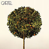 Thumbnail for the Cartel - Cartel link, provided by host site