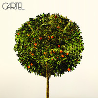 Thumbnail for the Cartel - Cartel link, provided by host site