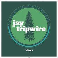 Thumbnail for the Jay Tripwire - Cascadia Represent! link, provided by host site