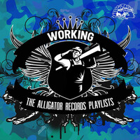 Thumbnail for the Albert Collins - Cash Talkin' Aka the Workingman's Blues link, provided by host site