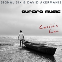Thumbnail for the David Akermanis - Cassie's Law link, provided by host site