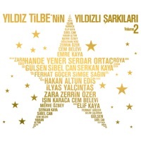 Image of Oğuzhan Koç linking to their artist page due to link from them being at the top of the main table on this page