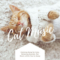 Thumbnail for the Wellness N Wellness - Cat Music: Calming Song for Cats, Relaxing Sounds, Pet Music while You're Away link, provided by host site