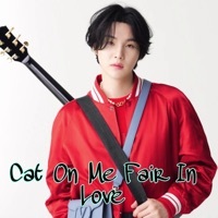 Thumbnail for the SUGA - Cat on Me Fair in Love link, provided by host site