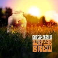Thumbnail for the Strange Brew - Catch a Feeling link, provided by host site