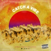 Thumbnail for the Nessly - Catch a Vibe link, provided by host site