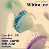 Thumbnail for the Whim ee - Catch It link, provided by host site