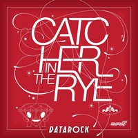 Thumbnail for the Datarock - Catcher In The Rye link, provided by host site