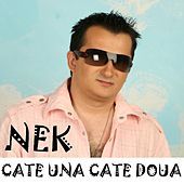 Image of Nek linking to their artist page due to link from them being at the top of the main table on this page