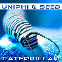 Thumbnail for the Seed - Caterpillar link, provided by host site