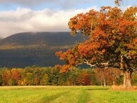 Thumbnail for the CBS Sunday Morning - Nature: Catskills link, provided by host site